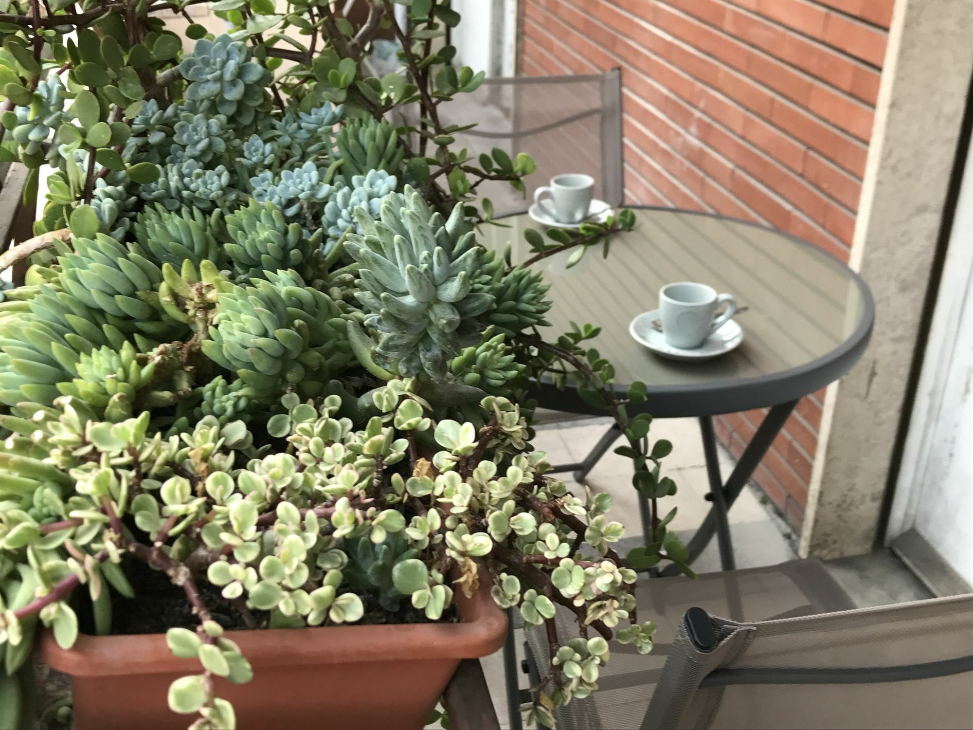 Pardis Guest House Rome Exterior photo