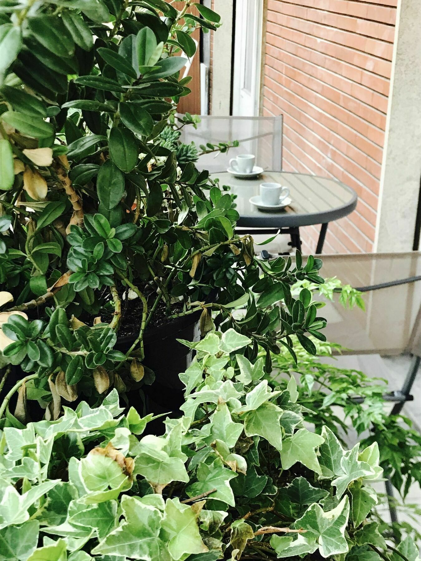 Pardis Guest House Rome Exterior photo